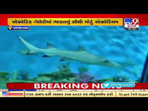 Science city's aquatic gallery will be virtually inaugurated by PM Modi tomorrow, Ahmedabad |TV9News