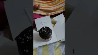 Chocolate Cup Cake And Nutella Cheese Jar Cake