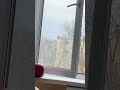 #shorts #short #shortvideo #цитаты