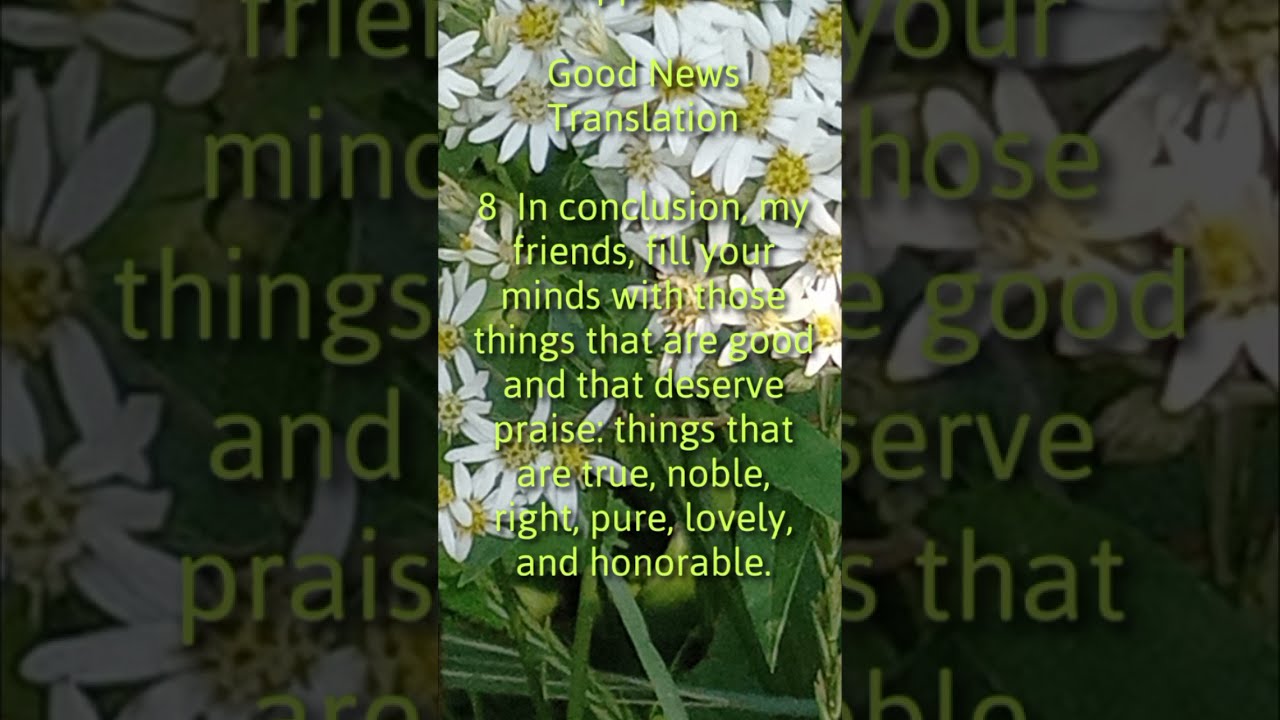 Philippians 4 8 King James Version KJV And If There Be Any Praise Philippians 4 8 King James Version KJV And If There Be Any Praise