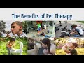 നിങ്ങളുടെ മക്കളോട് നിങ്ങൾക്ക് സ്നേഹാനുണ്ടങ്കിൽ ഇതൊന്ന് പരീക്ഷിച്ചു നോക്ക്The Benefits Of Pet Therapy