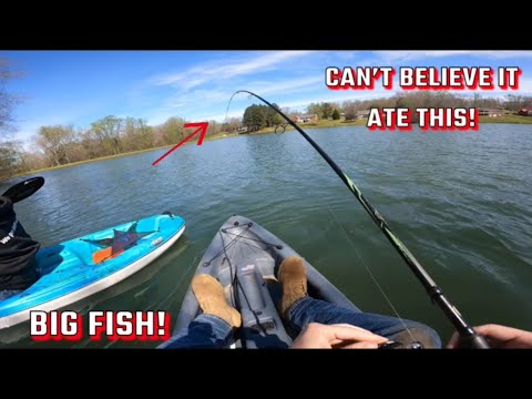 Fishing in pond and big fish hits