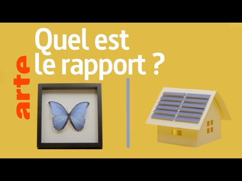 Un papillon et l'énergie solaire, quel est le rapport ? | Reconnexion | ARTE