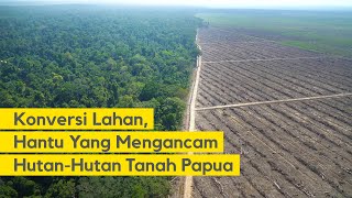 KONVERSI LAHAN | Hantu yang Mengancam Hutan-Hutan Tanah Papua