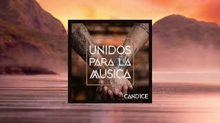 Unidos Para La Musica - David Vendetta - CANDICE REMIX