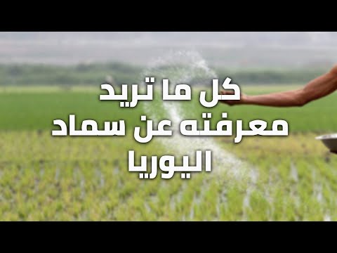 فيديو: ما فائدة سماد التوجيه؟