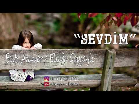 Sevdim (Fon Müzik)