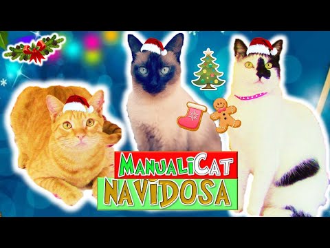 Video: Cómo Hacer Juguetes Navideños