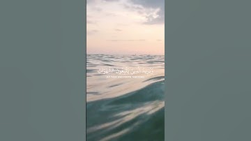 سورة النساء #ياسر_الدوسري