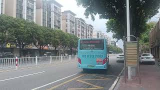 Golden Dragon XML6105JEVJ0CB