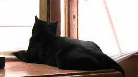 Schnapps: from two to six