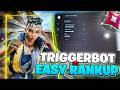 I Tried Best Valorant Triggerbot - I Got Radiant (Insane)
