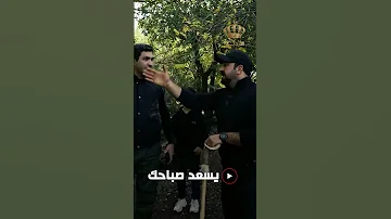 شو بتعرفوا عن شجرة القيقب 