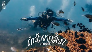 ต้องดู​ ก่อนไปเรียนดำน้ำ!! เกาะเต่า​ VLOG Gowentgo