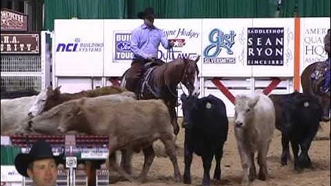2008 NCHA Futurity Limited Non-Pro
