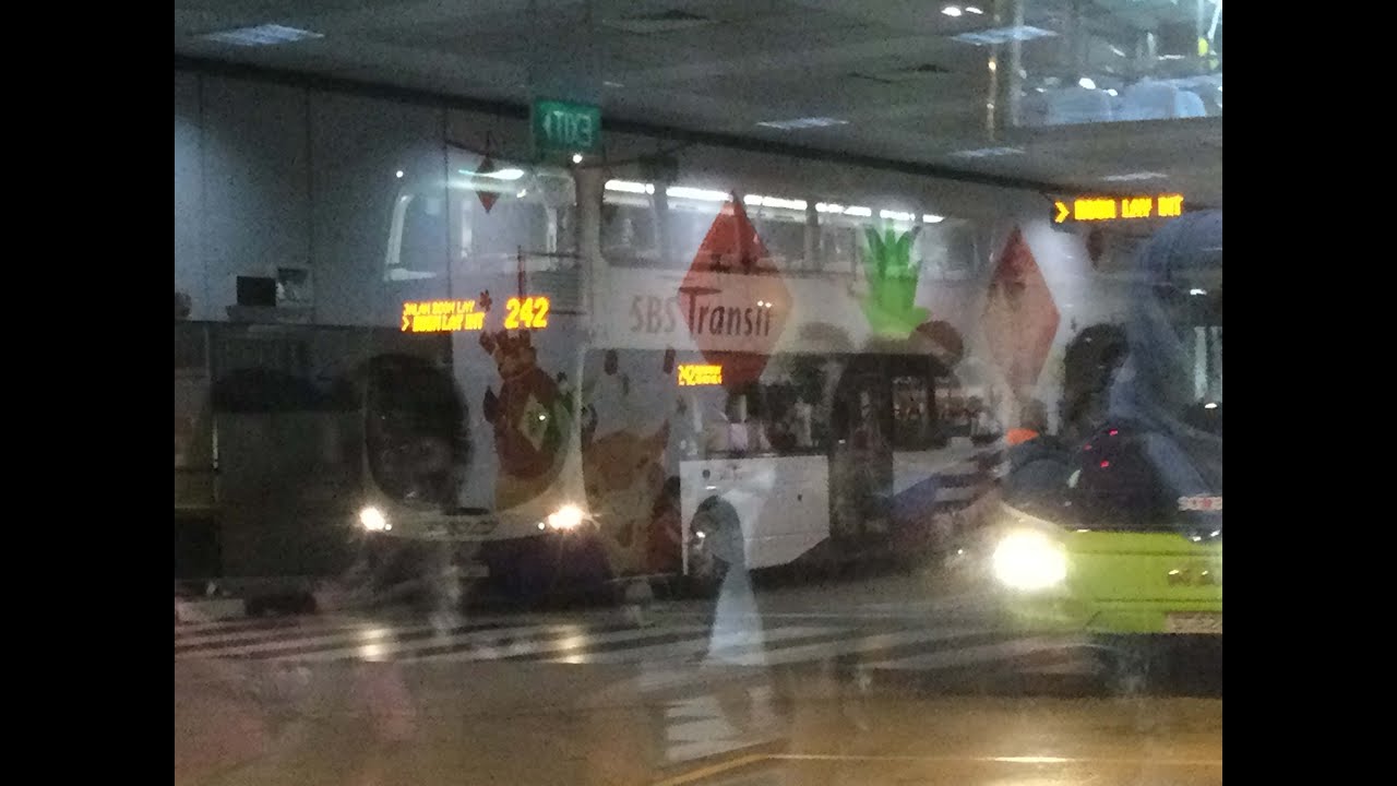 sbst-bus-service-242-sbs3627z-boon-lay-int-jurong-west-ave-5-loop