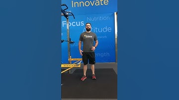 Partner Bicep Curl Pyramid