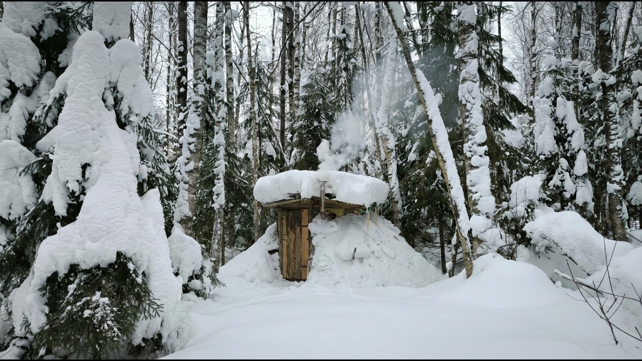 Buried My Forest Hut Under Snow | Winter Survival Test