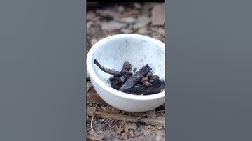 Hạt dổi nhiều bác chưa biết cách dùng p1 #shots #food #hagiang #hatdoi #chamcheo #giavicuarung