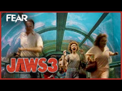 Trapped In The Aquarium | Jaws 3 | Fear