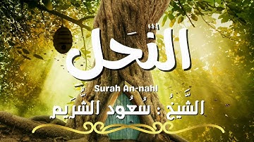سورة النحل / المصحف المرتل / الشيخ سعود الشريم / Surah An-nahl / Sheikh Saud Al Shuraim
