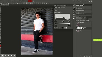 Intro to PhotoPea - Levels & Curves