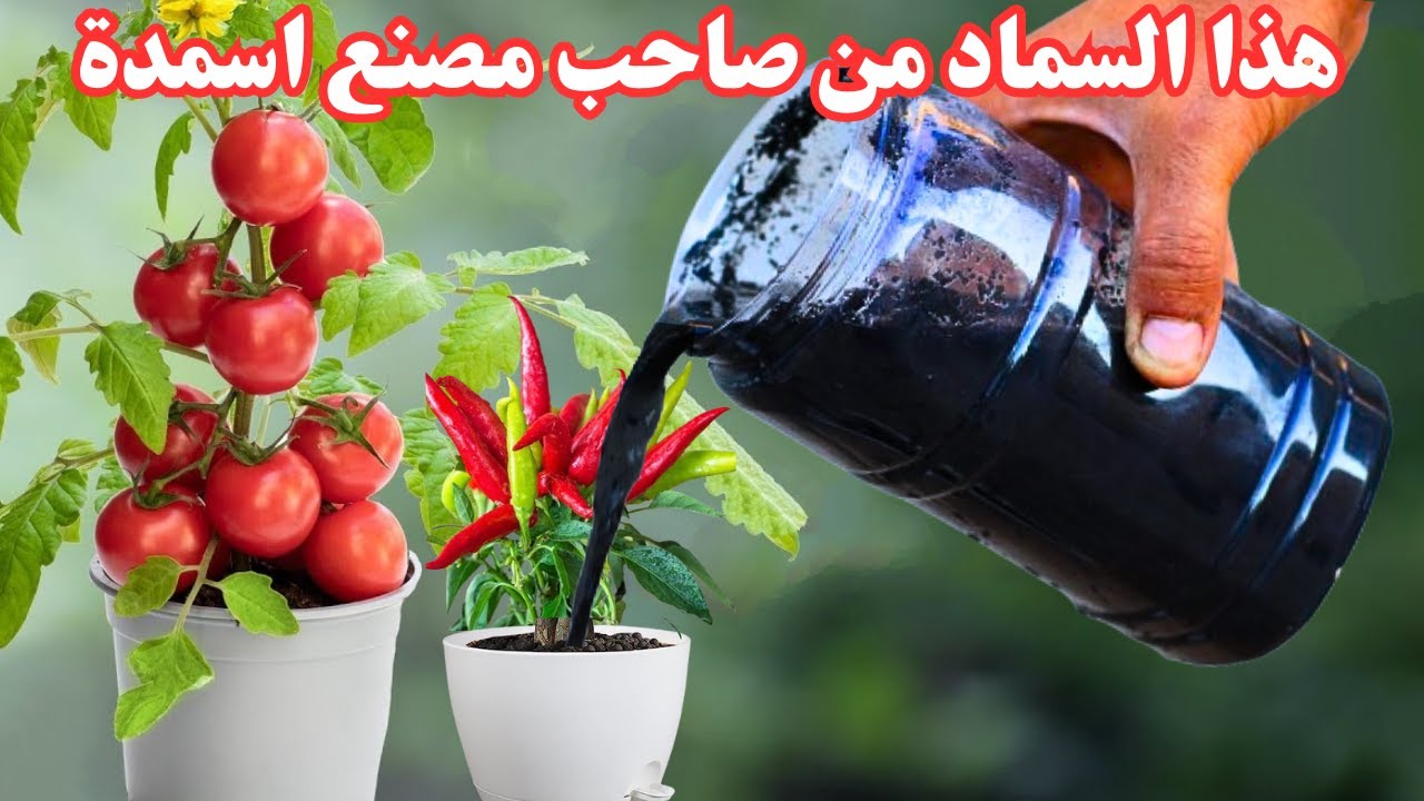 سماد طبيعي يعادل طن من الاسمدة الكميائية☘للنباتات الداخلية والخارجية والاشجار نتائج مذهلة غيرمتوقعة