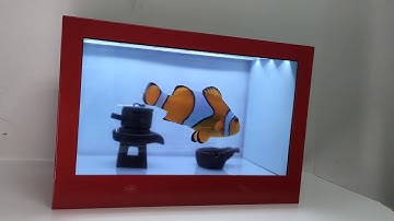 3D translucent screen display holographic computer monitor autostereoscopic-- fish