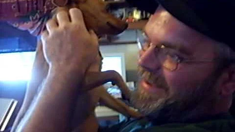 step-dad bites dogs tongue