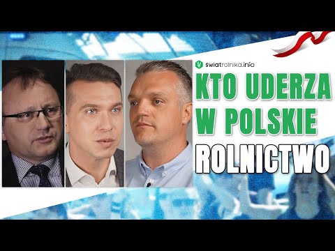 Wideo: Kto blokuje dla rozgrywającego?