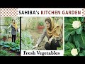 Sahiba's Kitchen Garden | Salad | Lifestyle with Sahiba|