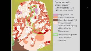 картинка: 