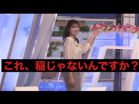 【小林李衣奈】これ稲じゃないんですか？(20221014)