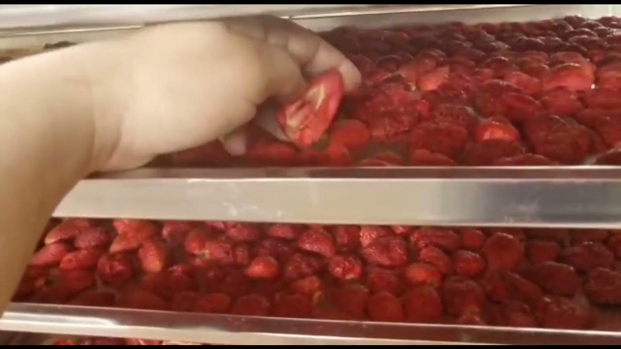 Сублимация Фруктов и Ягод.Сублиматор на 500 кг. - YouTube