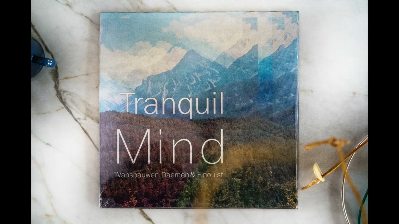 Funk in deepfreeze - Vanspauwen, Daemen & Finoulst