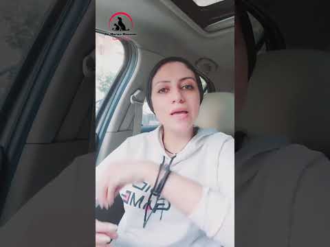 الملح في اكل الكلاب والقطط اكسبلور كلاب قطط طعام غذاء صحي ملح أغذية ومشروبات مروه منصور