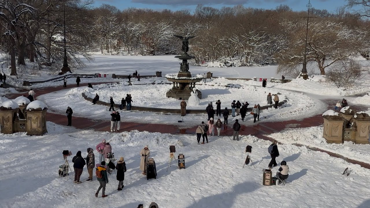 NYC Snowstorm Aftermath | Central Park Right After the Storm