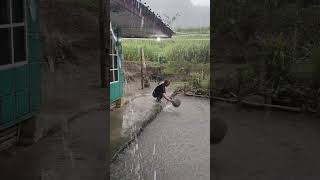 segar sekali mandi saat hujan lebat #saungape #vilage #nature #rain