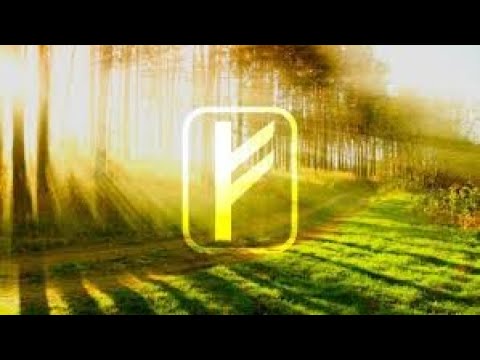 Руна Феху. Мистерия РУН.(часть 1)