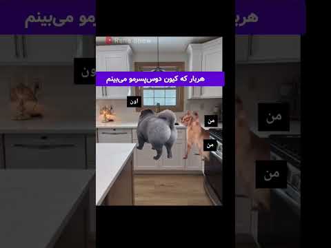 خب به کیونش نظر دارم 🙂 #میسترس #اسلیو #کینکی #کینک #بیدیاسام #ارباب #برده #بردگی #طنزکده  #رهاشو