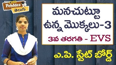 Manachuttu Unna Mokkalu (Part-3) 3rd Class EVS-Telugu Video Lessons |  A.P Telugu Syllabus