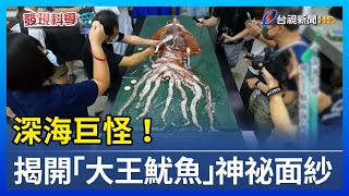 深海巨怪！揭開「大王魷魚」神祕面紗【發現科學】 