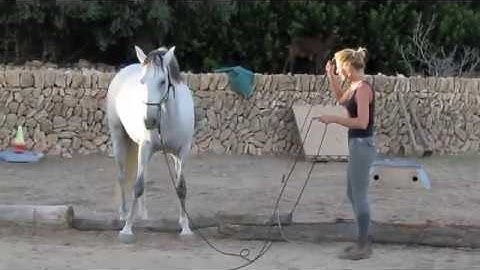 Online exercises on a feather light line