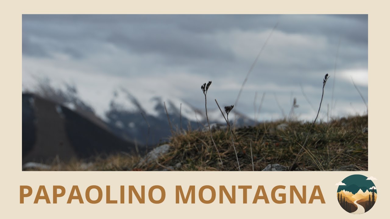 CIMA D'ARME CINEMATIC