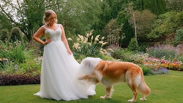 Nova Ashbourne - All This Crazy Shit (Official Music Video)