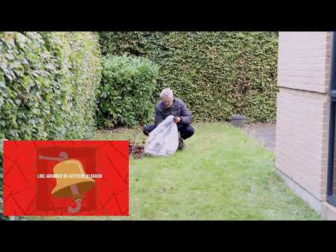 Ich stehe im Garten und sammle Zweige vom Rasen in einer durchsitigen Plastiktüte ein