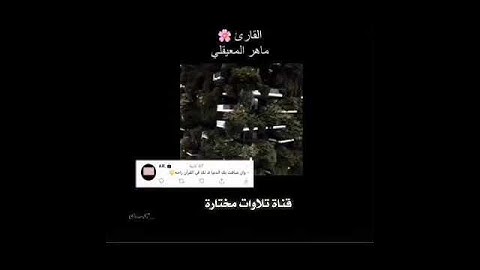 ماهر المعيقلي حالات واتساب (تدبر الآية) (وانفقوا من ما رزقناكم من قبل ان ياتي أحدكم الموت..)