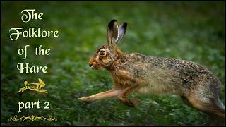 THE FOLKLORE of the HARE - PART 2. Witch, Fairy, Ghost, Milk Hare, Superstition & Mythology