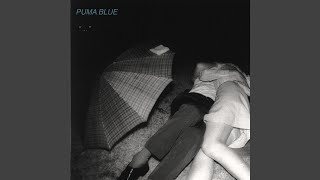 Video thumbnail of "Puma Blue - [She's] Just a Phase"
