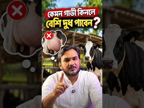 দুধ বেশি পাওয়ার আশায় গাভী কিনে ঠকছেন?